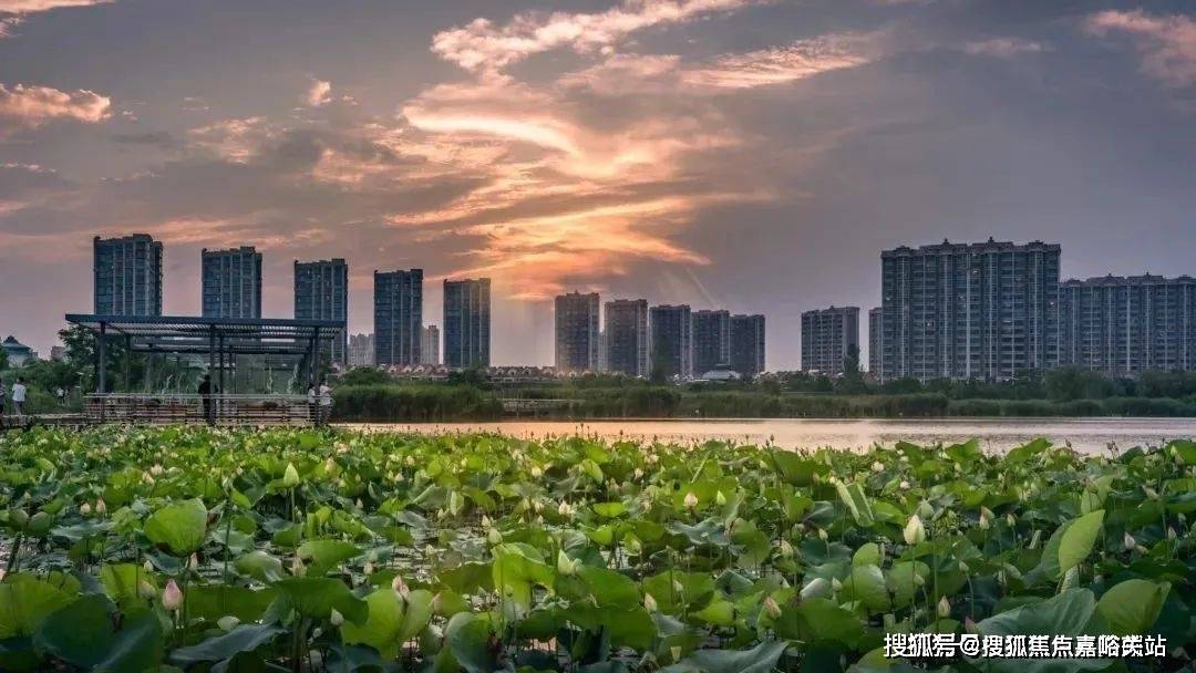 楼中心首页网站丨2025​象屿·欢迎您丨最新楼盘详情OG真人游戏象屿·虹桥嘉悦府(售楼处)-虹桥嘉悦府售(图22)