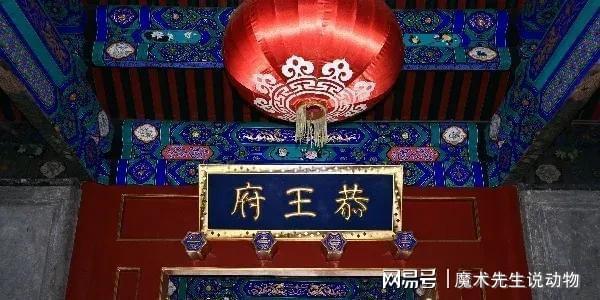 龄入住醇亲王府OG网站宋庆(图4)