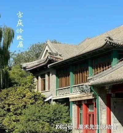 龄入住醇亲王府OG网站宋庆(图3)