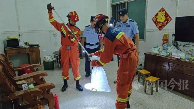 霸”入户藏匿之处让人胆寒OG真人深夜柳州两条“毒(图3)